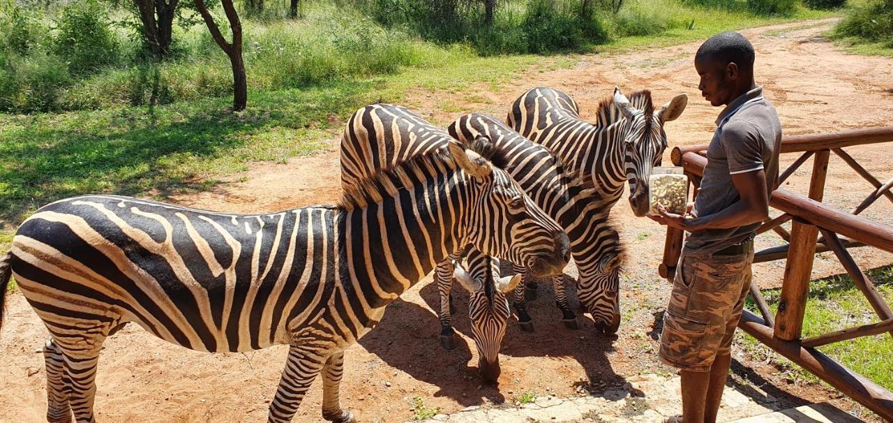 Giraffe Plains Villa Marloth Park Dış mekan fotoğraf