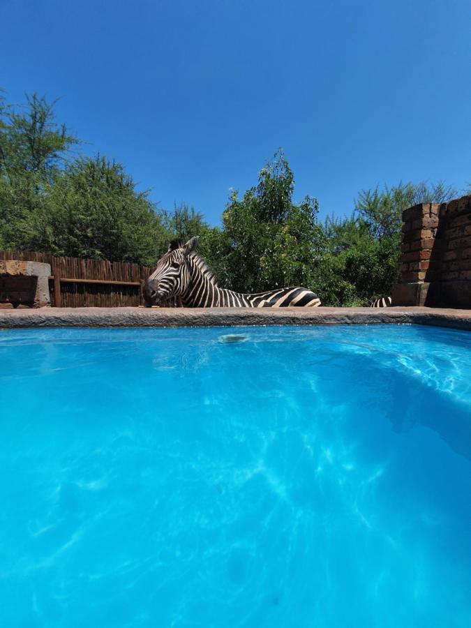 Giraffe Plains Villa Marloth Park Dış mekan fotoğraf