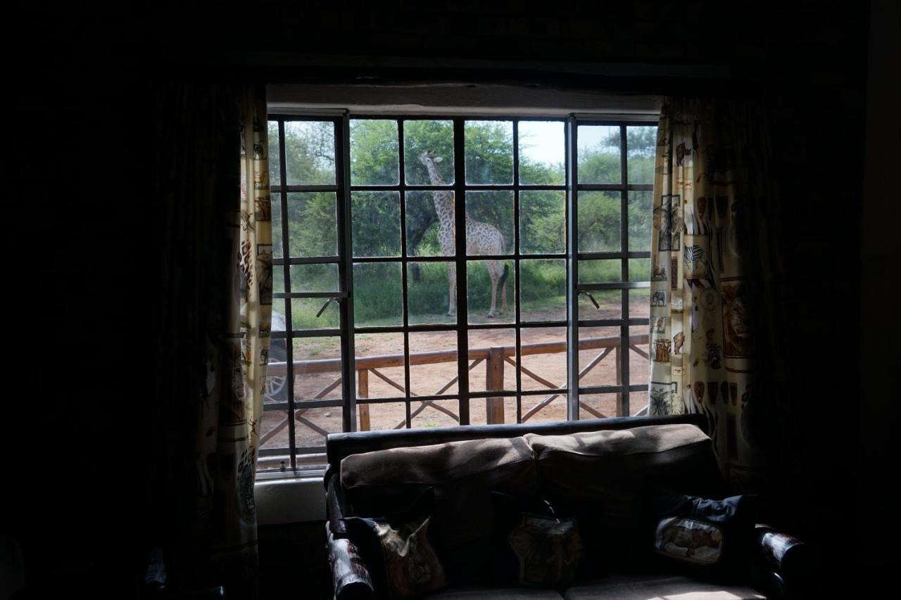 Giraffe Plains Villa Marloth Park Dış mekan fotoğraf