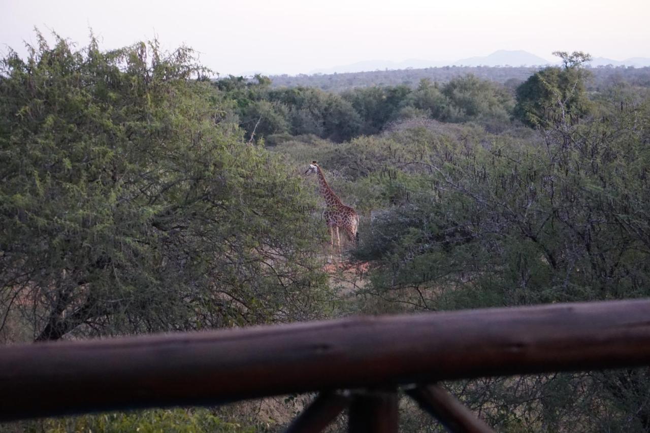 Giraffe Plains Villa Marloth Park Dış mekan fotoğraf