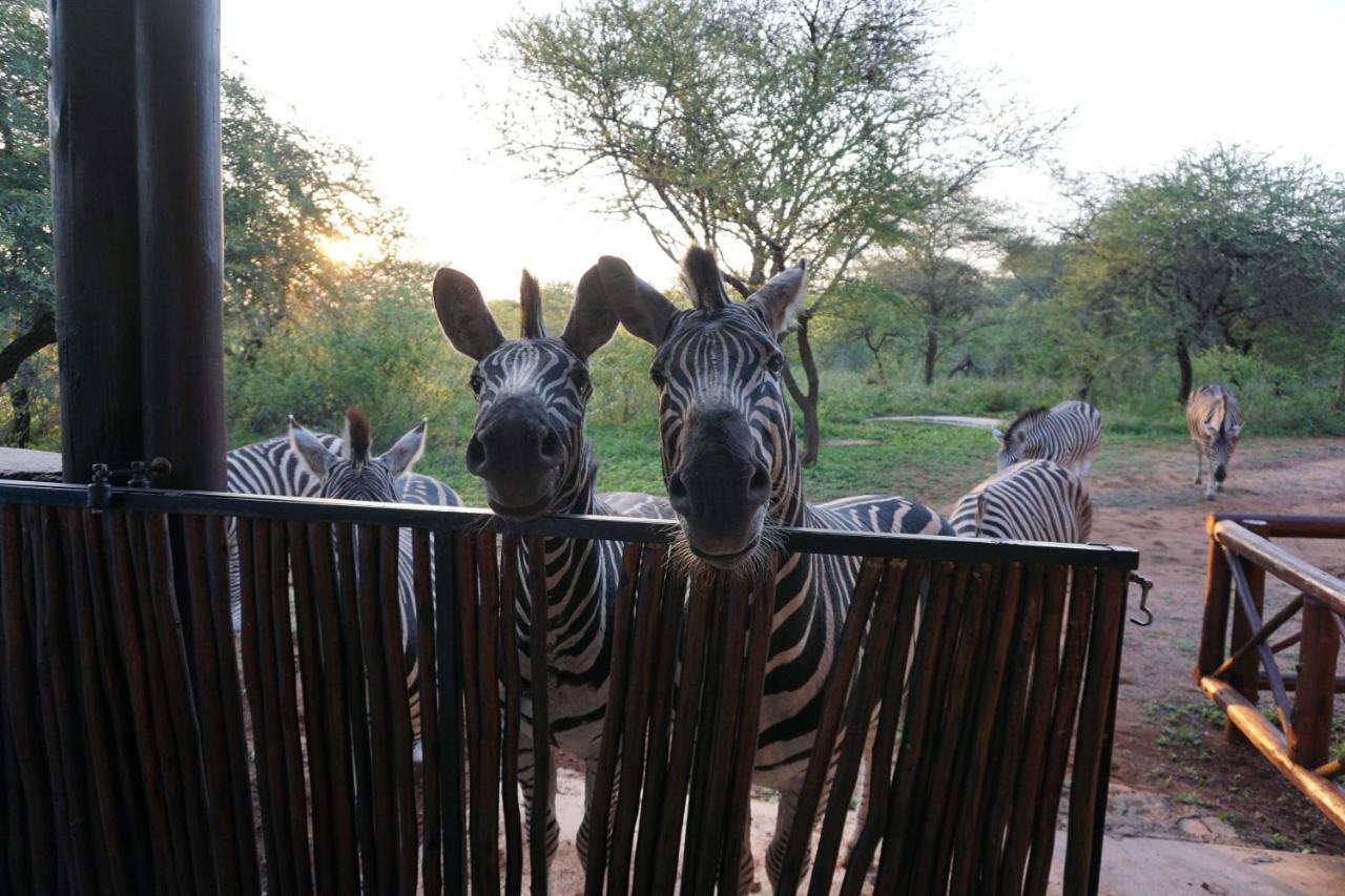 Giraffe Plains Villa Marloth Park Dış mekan fotoğraf