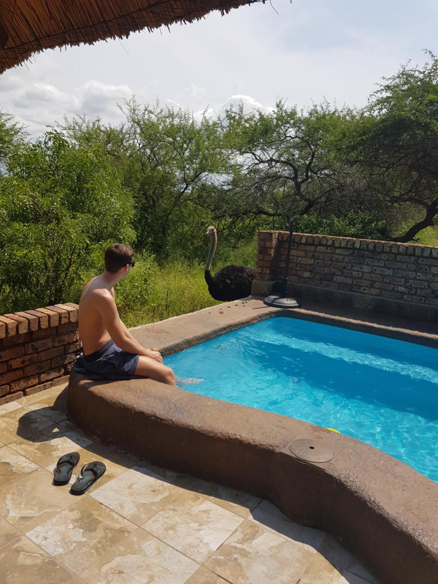 Giraffe Plains Villa Marloth Park Dış mekan fotoğraf